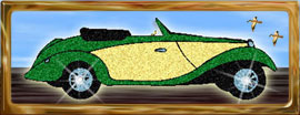 roadster convertible green and yellow graphic