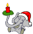 elephant dressed for Christmas