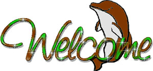 welcome dolphin