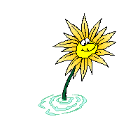 Flowers GIFs on GIPHY - Be Animated