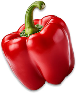 pepper