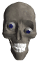 skull