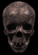 talking skull