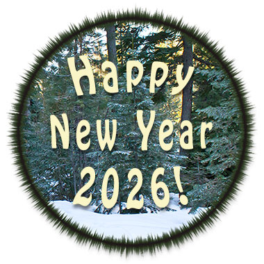 Happy New Year
